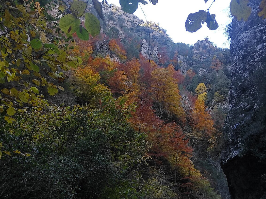 Canon de Anisclo-埃斯卡洛纳必去景点
