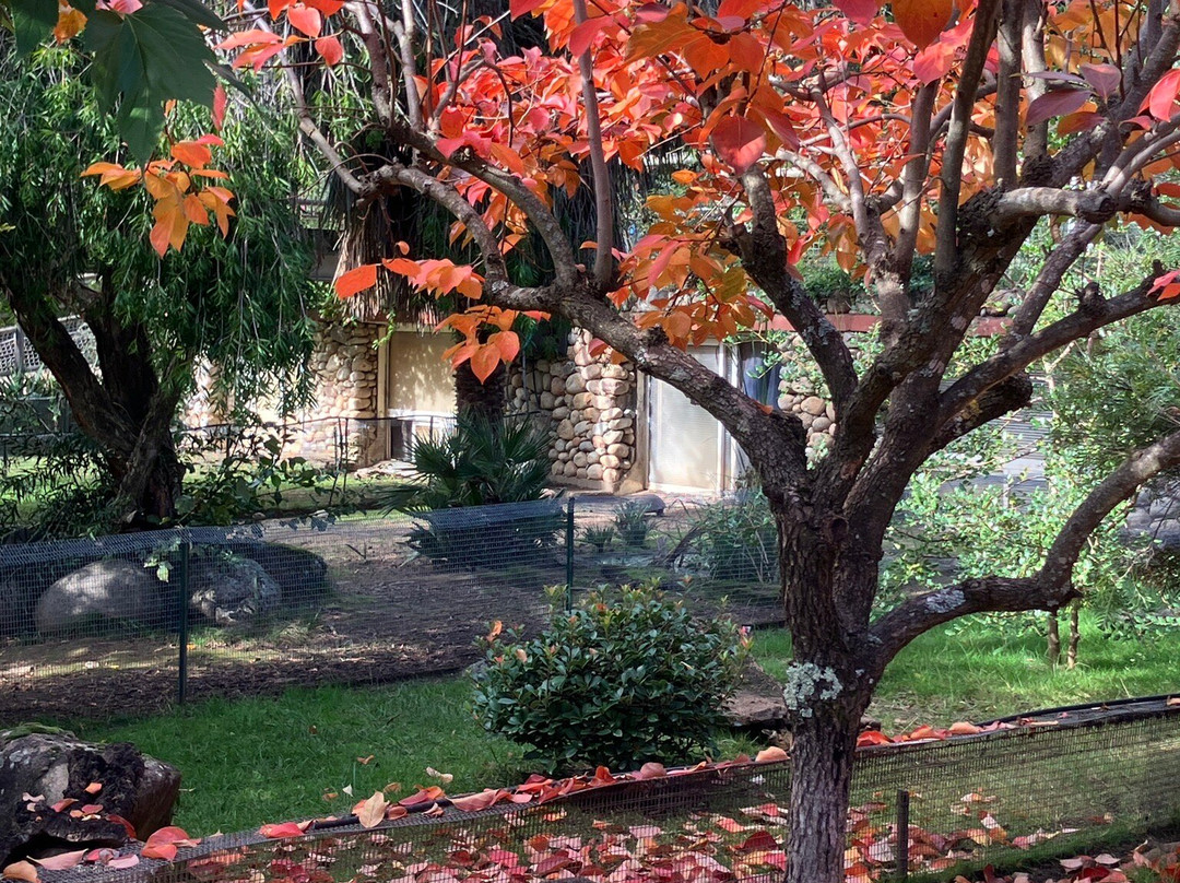 A Cupulatta-Ucciani必去景点