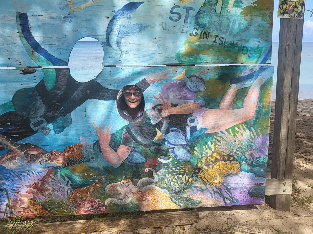 Cane Bay-圣克鲁斯必去景点