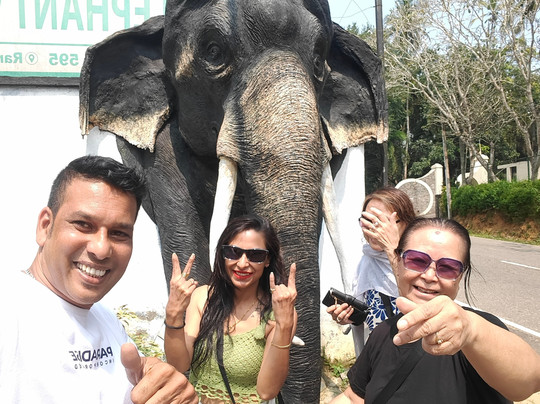 Kandy Star Tours-康提必去景点