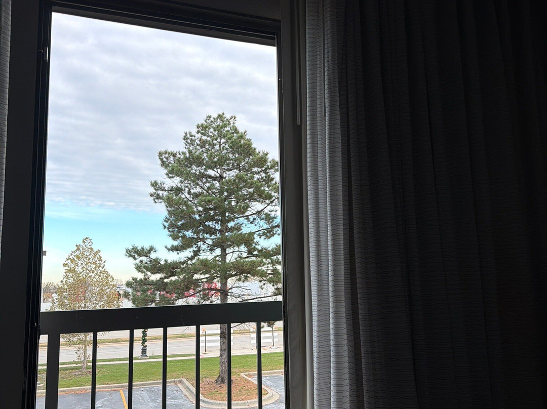 Courtyard by Marriott Chicago Wood Dale/Itasca主图