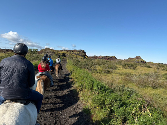 Viking Horses-雷克雅未克必去景点