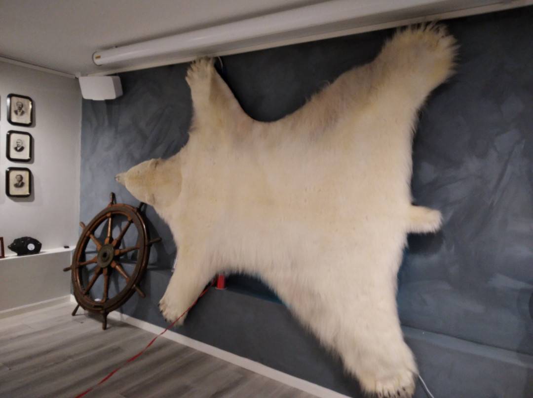 The Polar Bear Society-Hammerfest必去景点