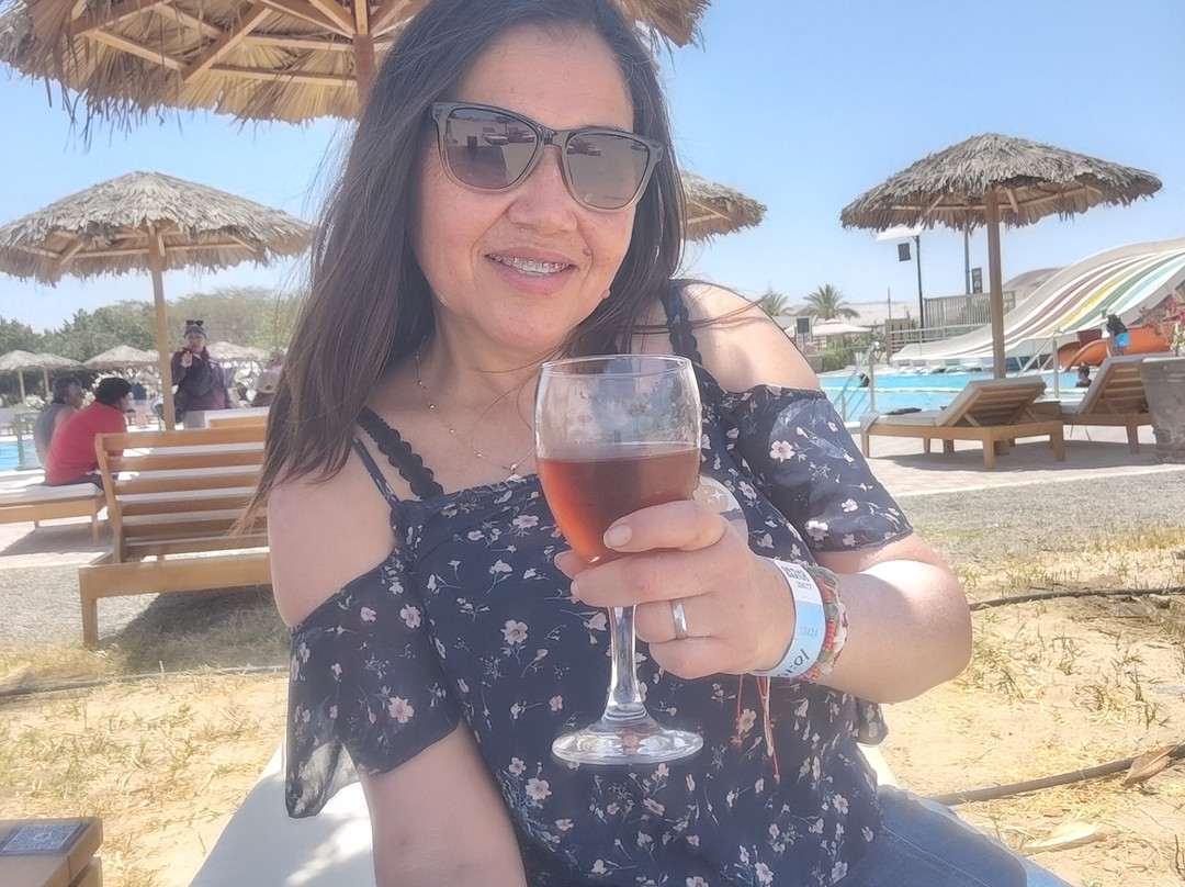 Dromedarius-伊卡必去景点