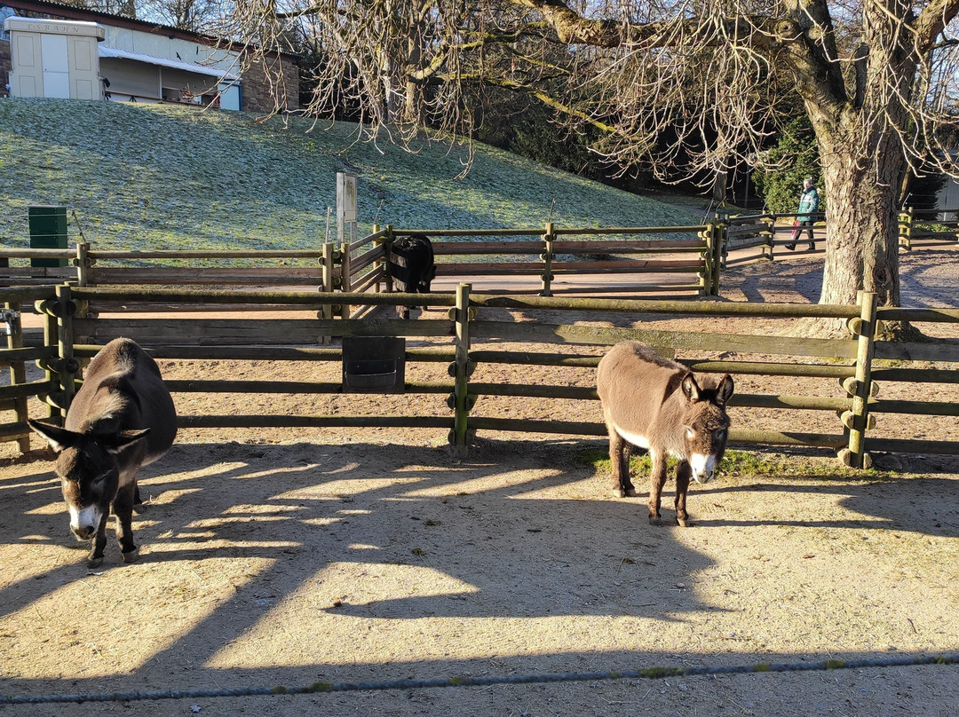 Killesberg公园-斯图加特必去景点
