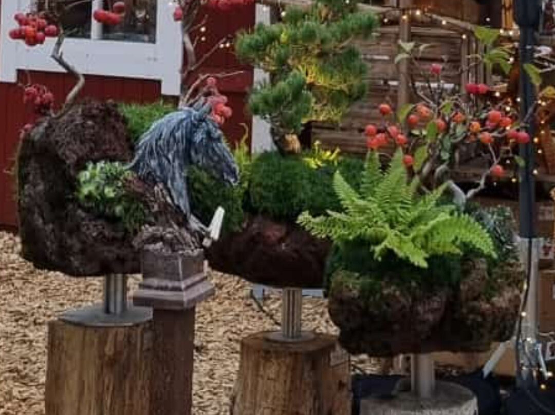 Hotel Gut Pronstorf主图