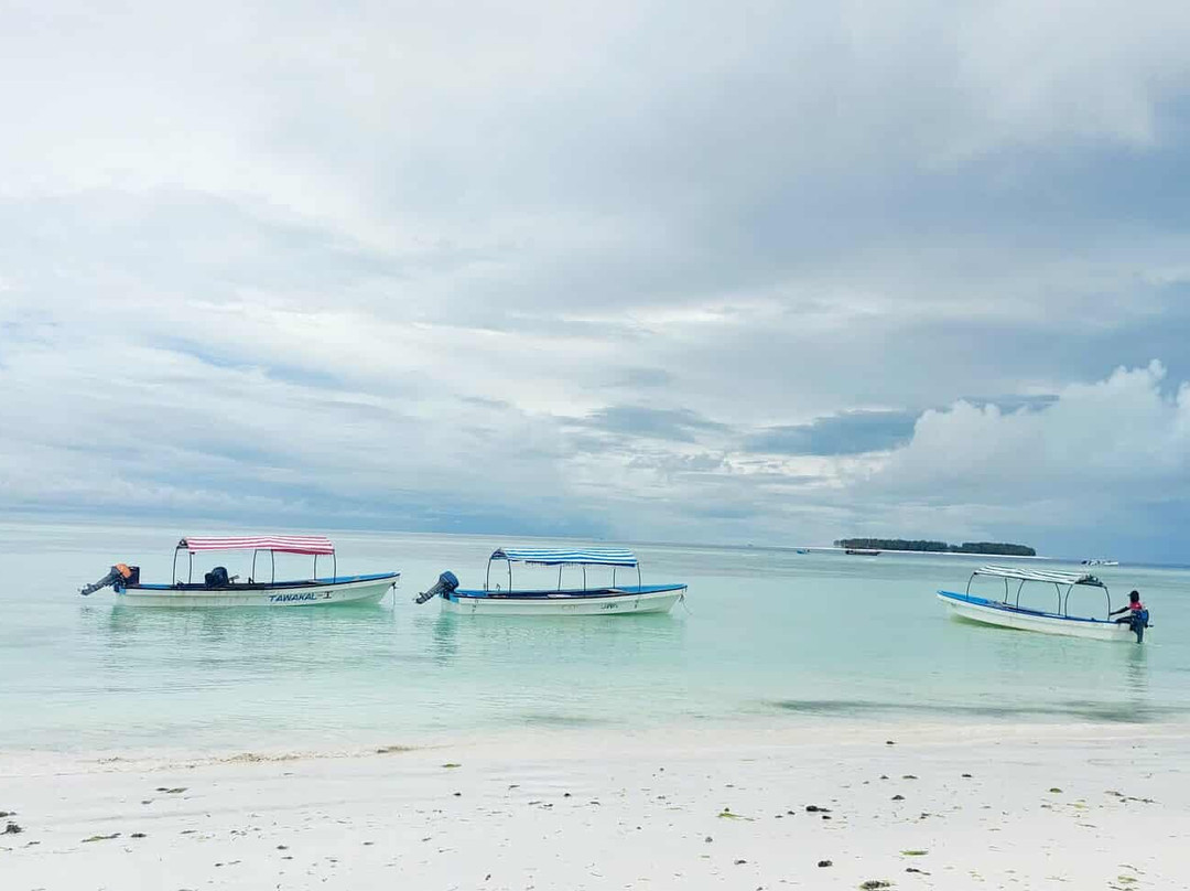 Jorjo Amani Zanzibar Tours-桑给巴尔岛必去景点