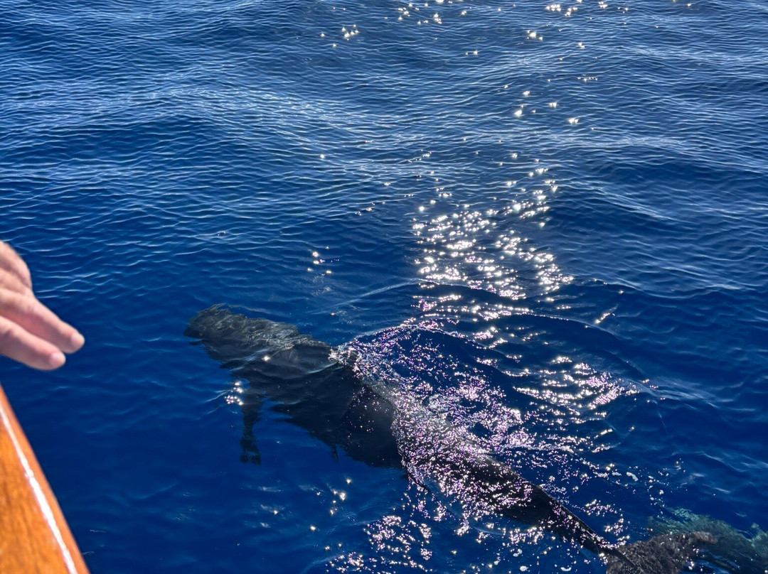 Tina Excursiones-Valle Gran Rey必去景点