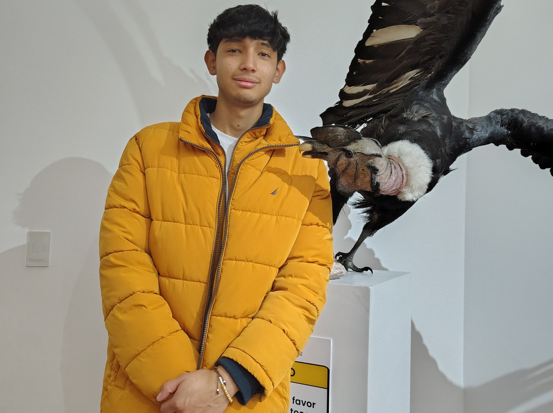 Abya-Yala Museum-基多必去景点