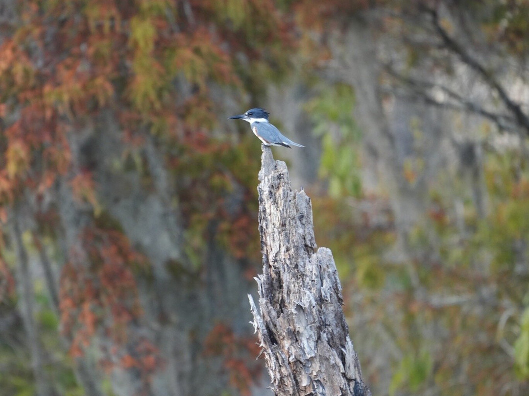 Delta Discovery Tours-Empire必去景点