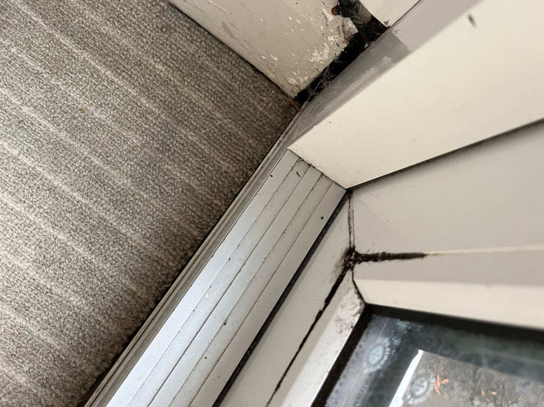 力推本豪花园大厦酒店主图