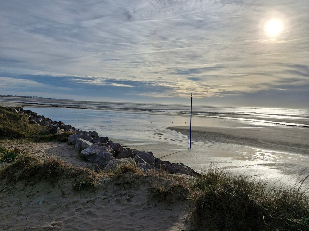 Office de Tourisme de Camiers-Sainte Cécile-Camiers必去景点