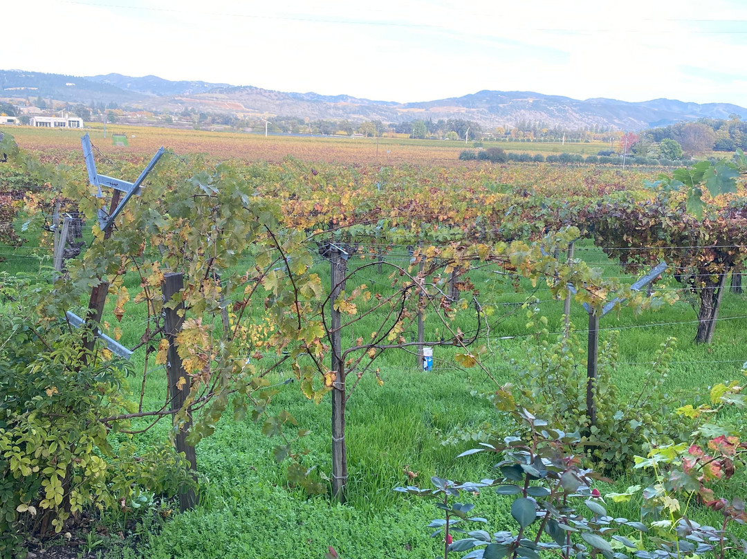 Tres Sabores Winery-圣海伦娜必去景点