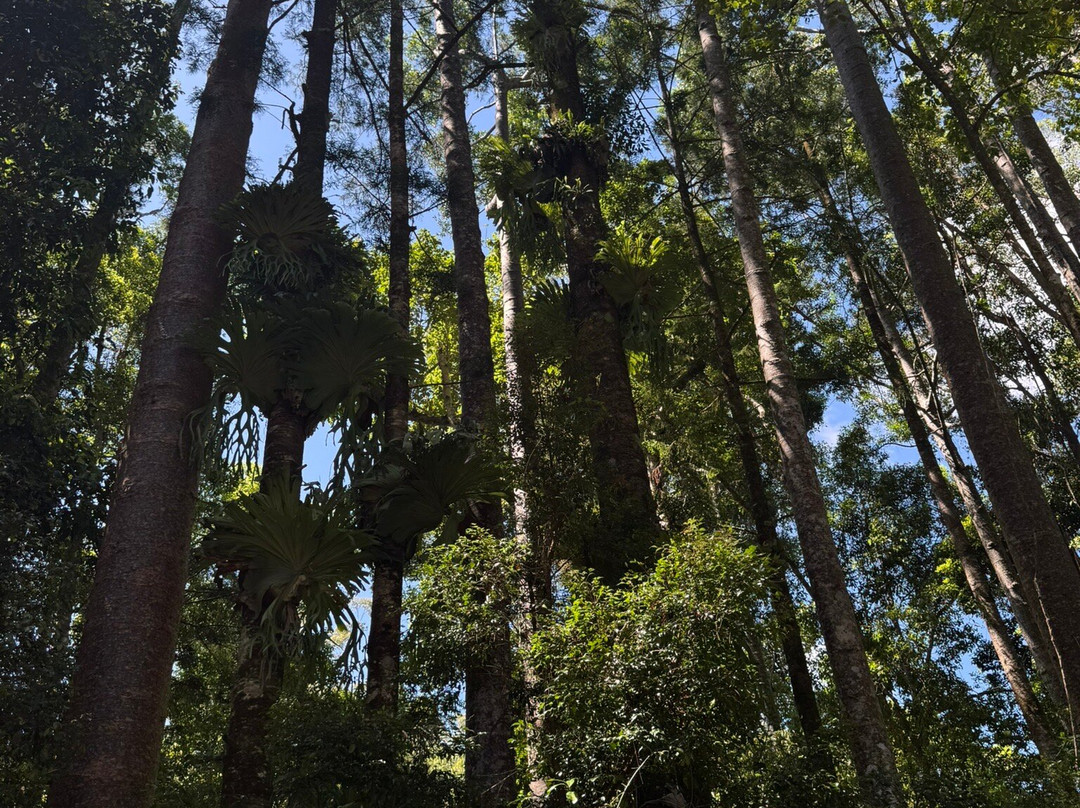 Fraser Experience Tours-赫维湾必去景点