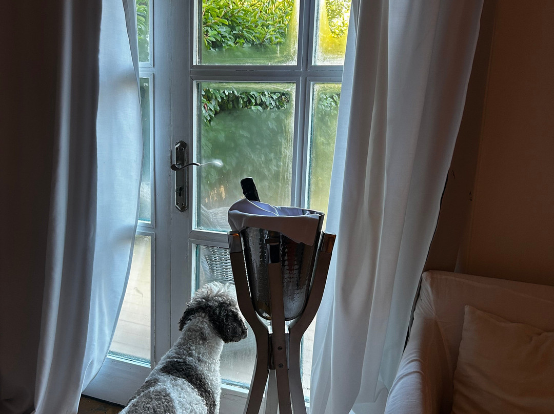 玛尔孔滕塔酒店主图