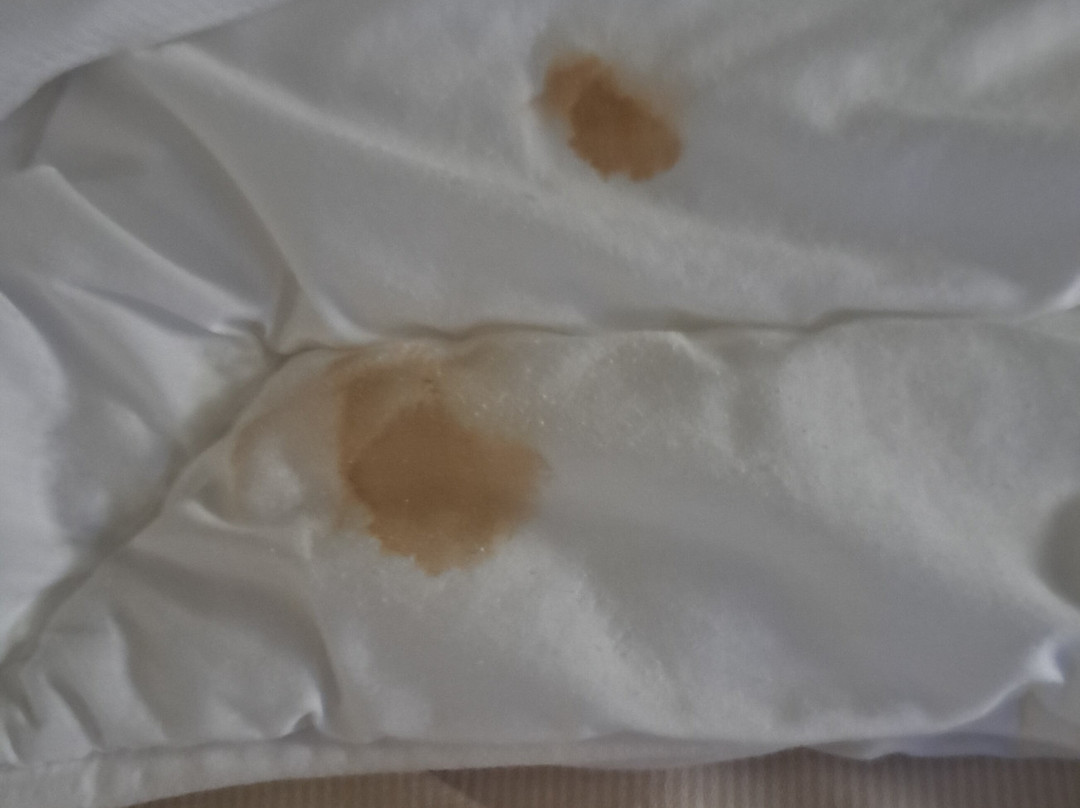 祖姆斯特奈恩是为赫臣酒店主图