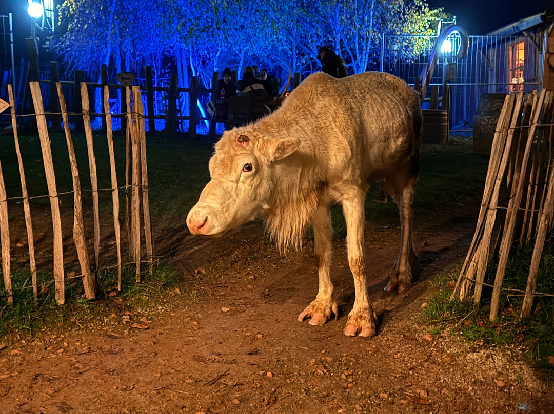 Rentieralm-Niederhausen必去景点