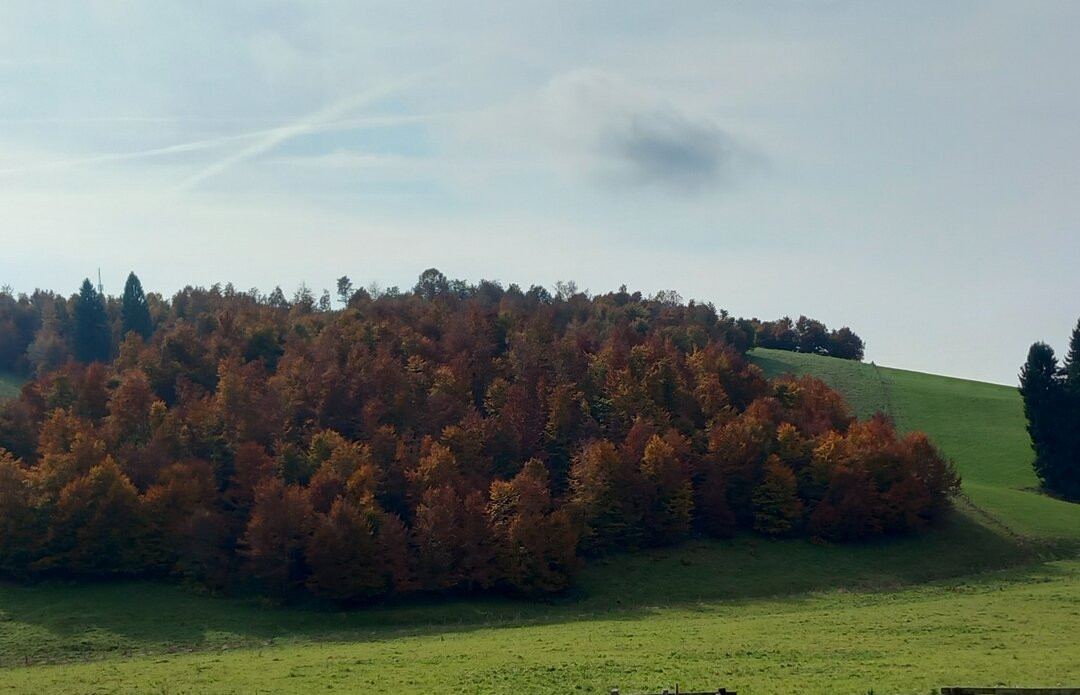 Malga Verde-Conco必去景点