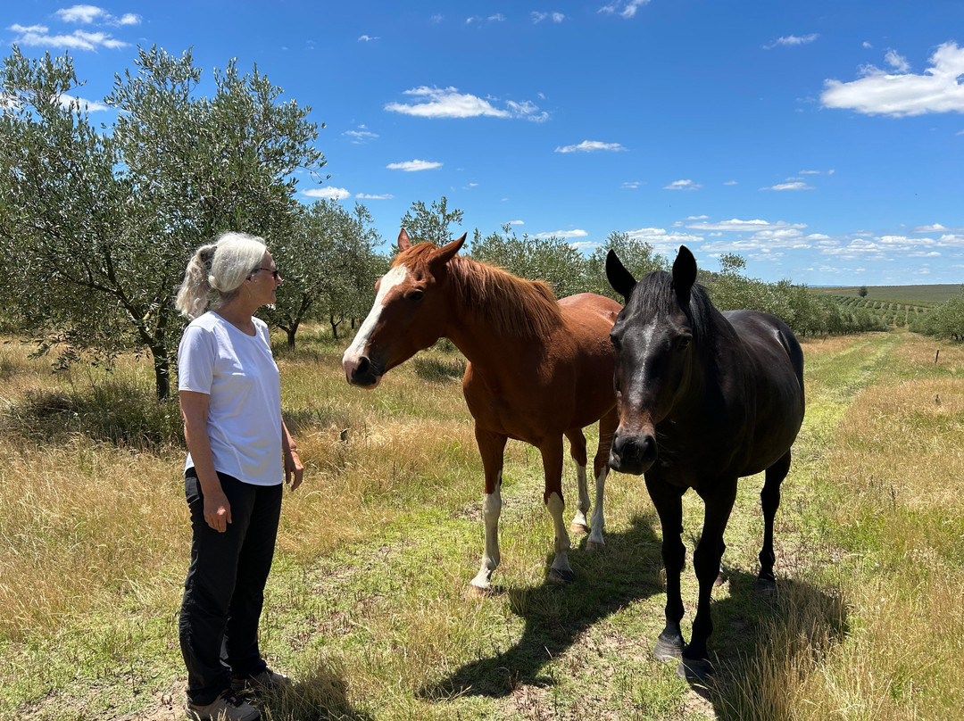 PitoRico-Jayuya必去景点