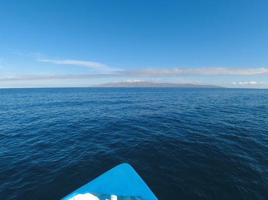 Desértica Baja Sur-拉巴斯必去景点