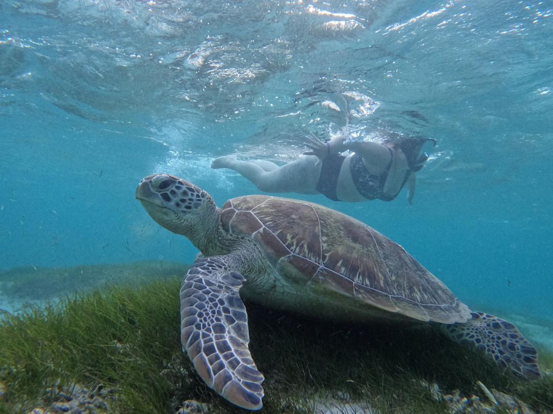 Vitamin Sea-黑河必去景点