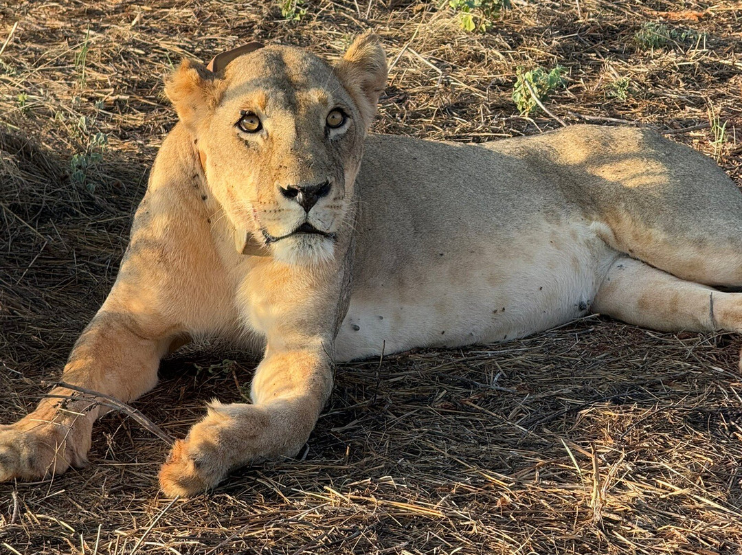 Agenzia Safari Vera Africa-东察沃国家公园必去景点