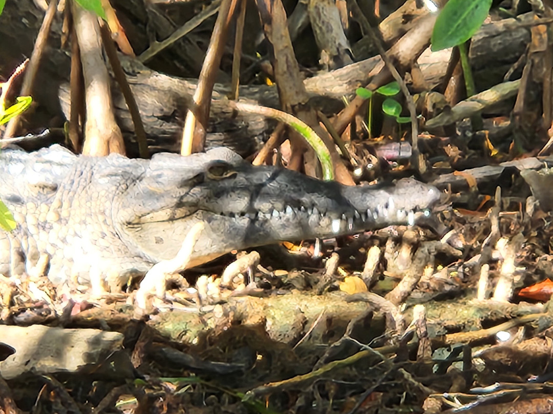 Puerto Maya Cancun-坎昆必去景点