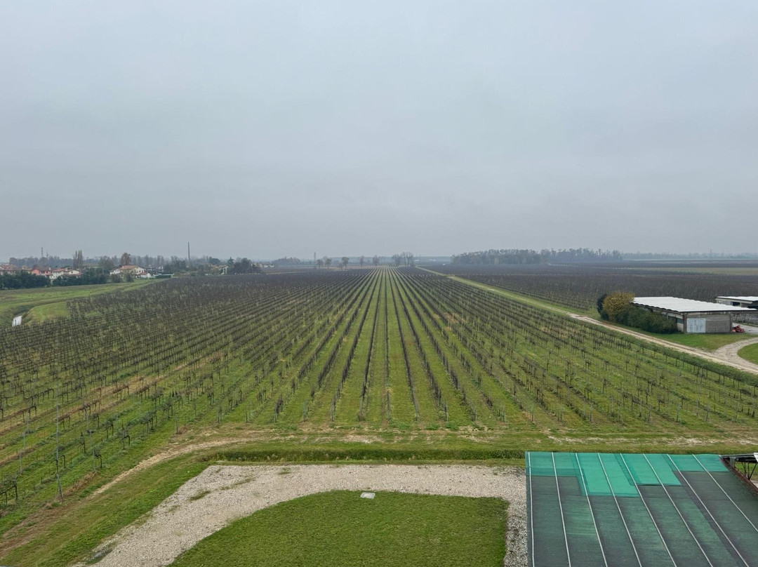 Villa Bogdano 1880-Lison必去景点