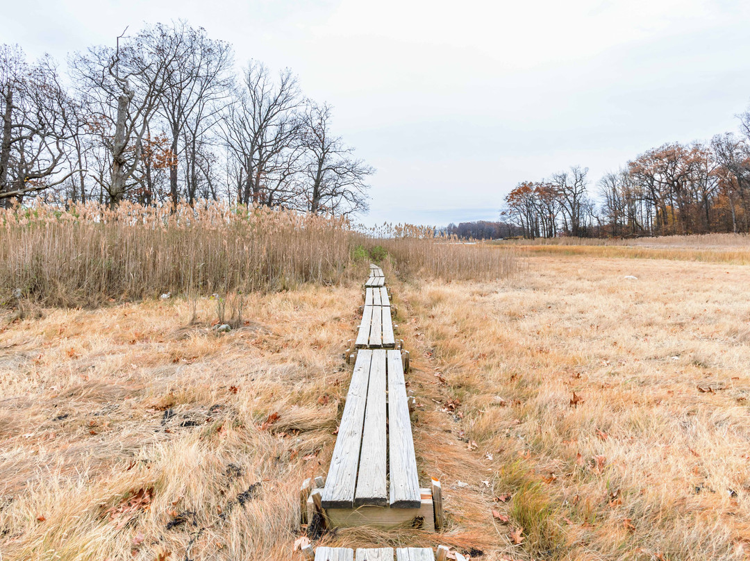 Pelham Bay Park-布朗克斯必去景点