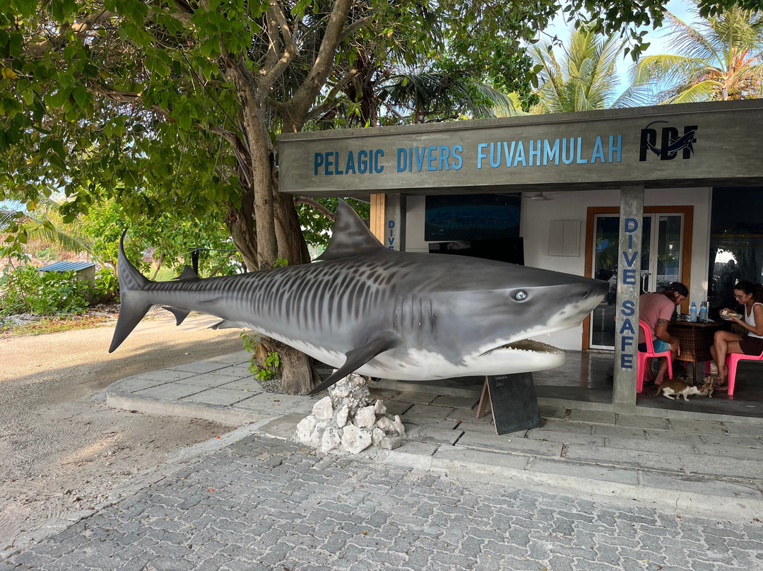 Pelagic Divers Fuvahmulah-Fuvahmulah必去景点
