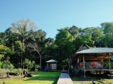 Dracaena Explorations-基多必去景点