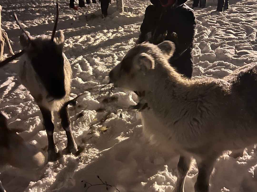 Salla Wilderness Park-Salla必去景点