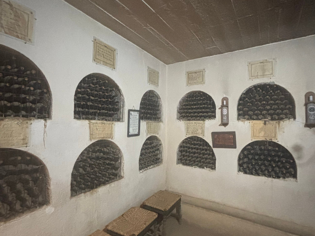 Fundo Los Nichos-Pisco Elqui必去景点