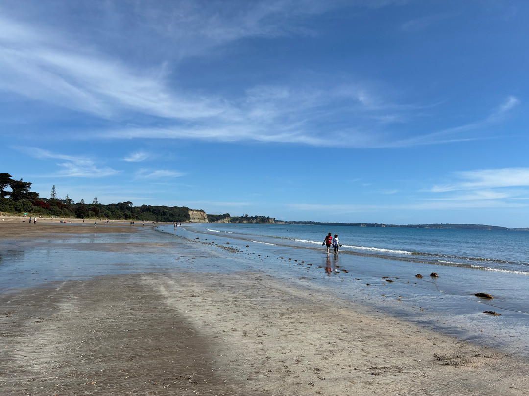 Long Bay Beach-Long Bay必去景点