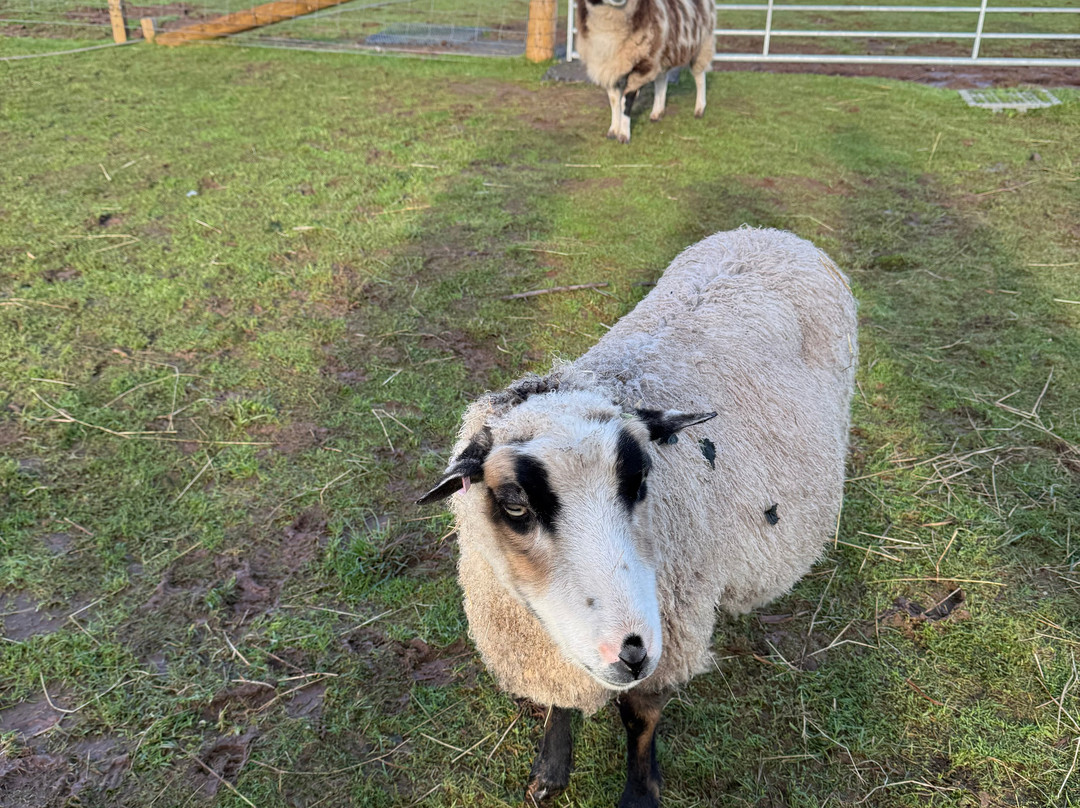 Harmony Fields-Buchlyvie必去景点