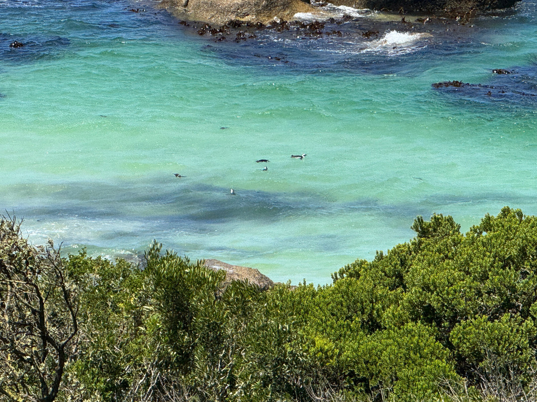 Tintswalo Boulders主图