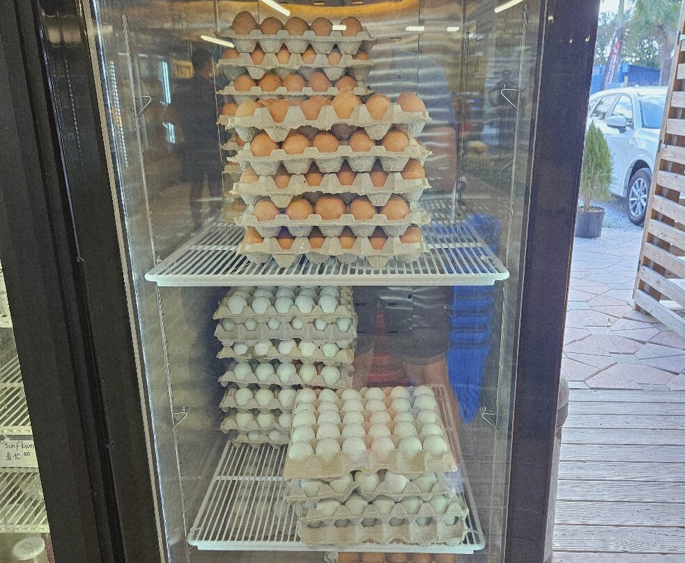 Southwest Ranches Farmers Market-Southwest Ranches必去景点