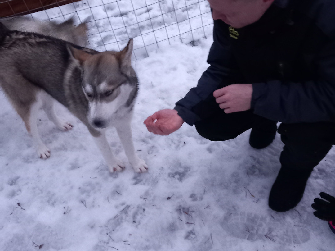 Arctic Circle Husky Park-罗瓦涅米必去景点