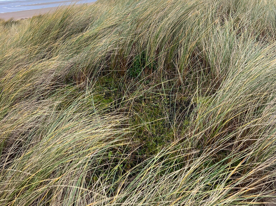 Bamburgh Beach-班堡必去景点