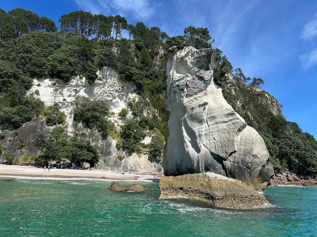 Mercury Bay Discoveries - River & Waterways Cruise-Ferry Landing必去景点