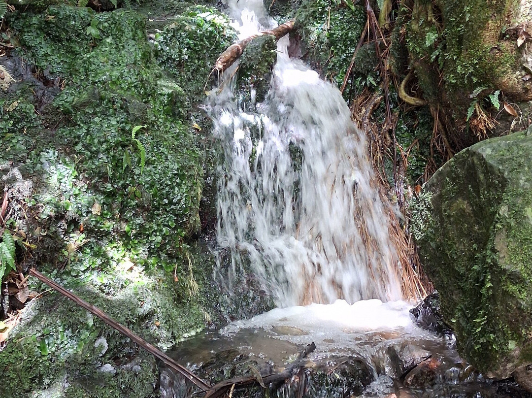 Colonial Knob Walk-Porirua必去景点