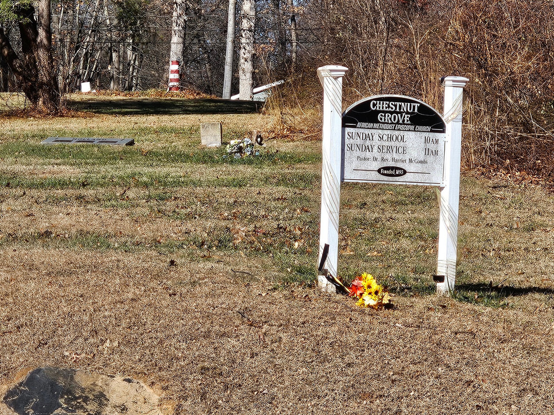 Chestnut Grove A.M.E. Church-Street必去景点