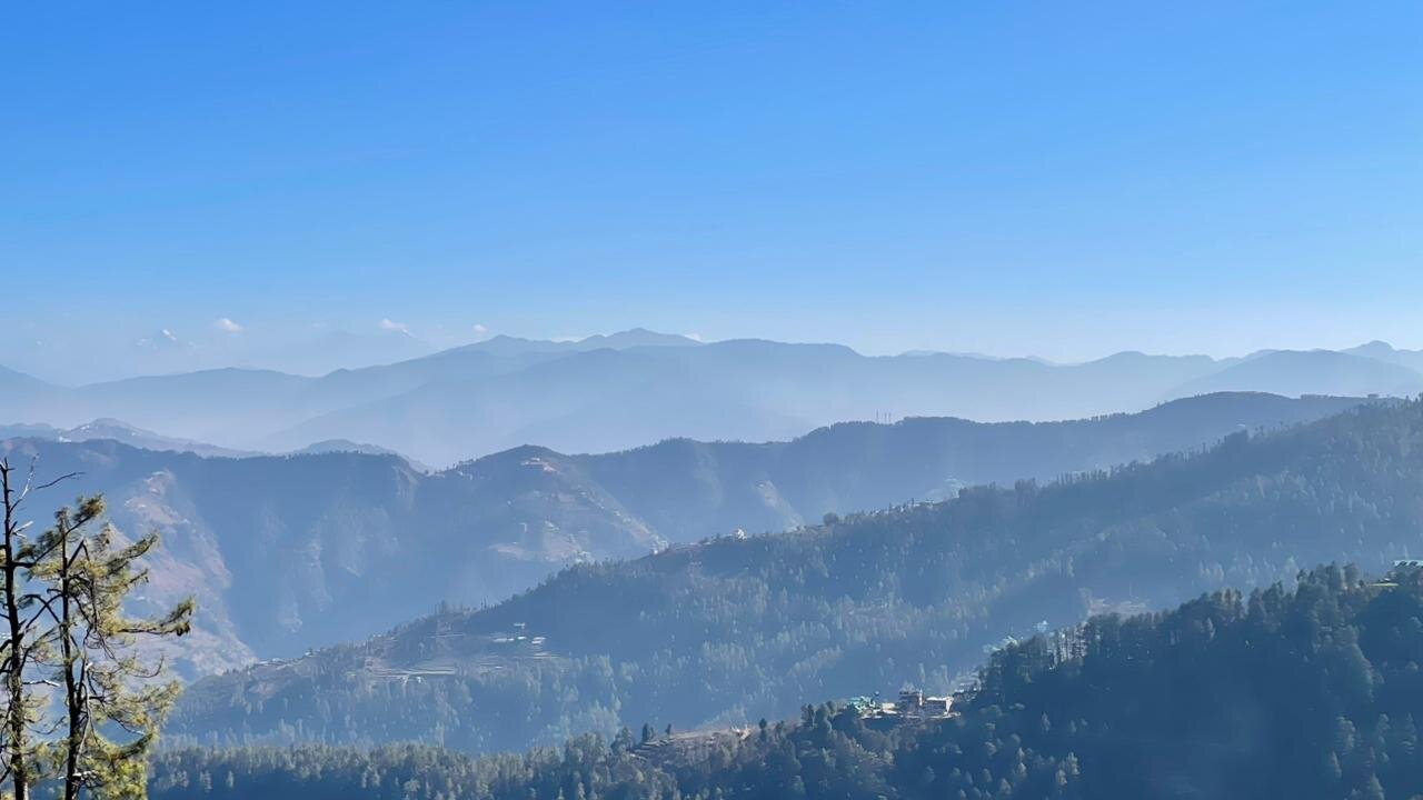 西姆拉野花大厅酒店-酒店景观