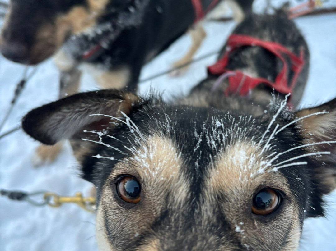 Maglelin Experience-Kittilä必去景点