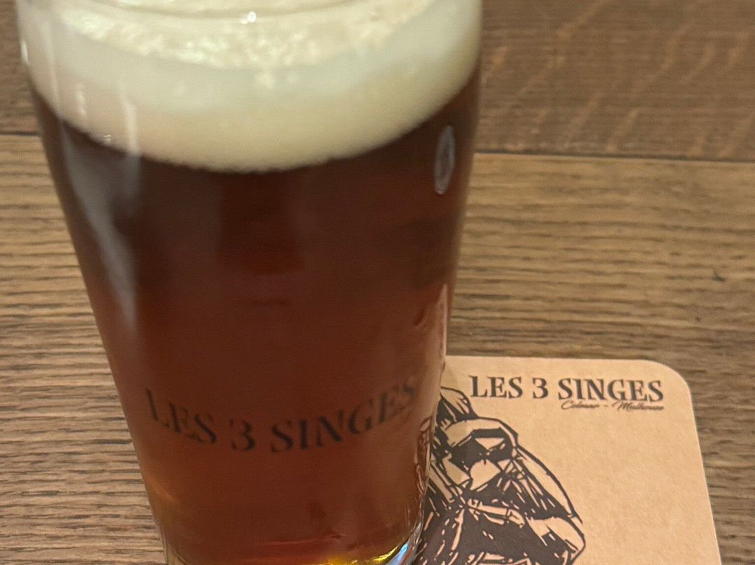 Les 3 Singes Colmar-科尔马必去景点