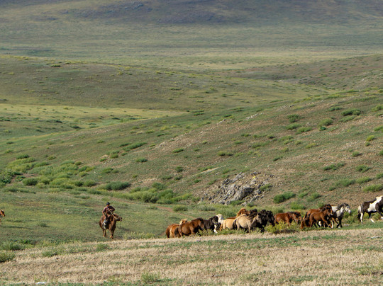 Amaico Travels-乌兰巴托必去景点