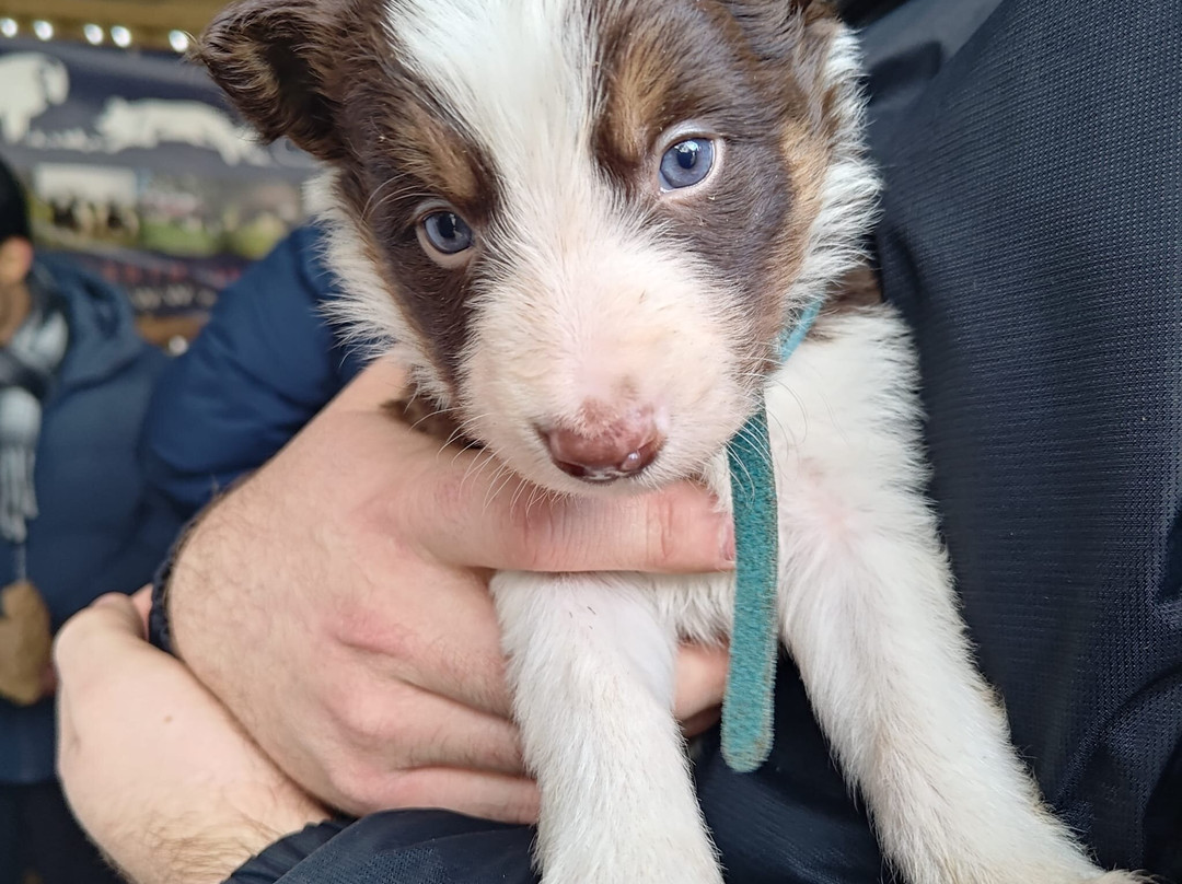 Cragg House Farm-Buttermere必去景点