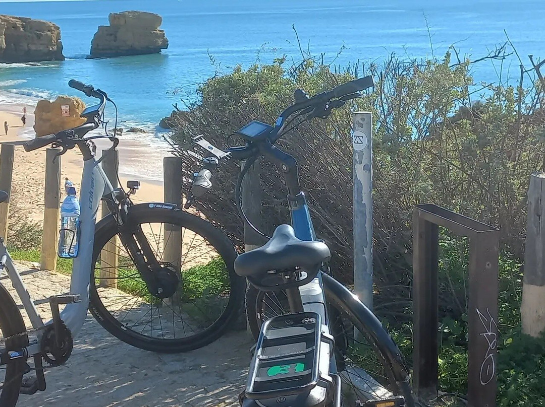 bike -  City E-Bike Tours-阿尔布赞拉必去景点