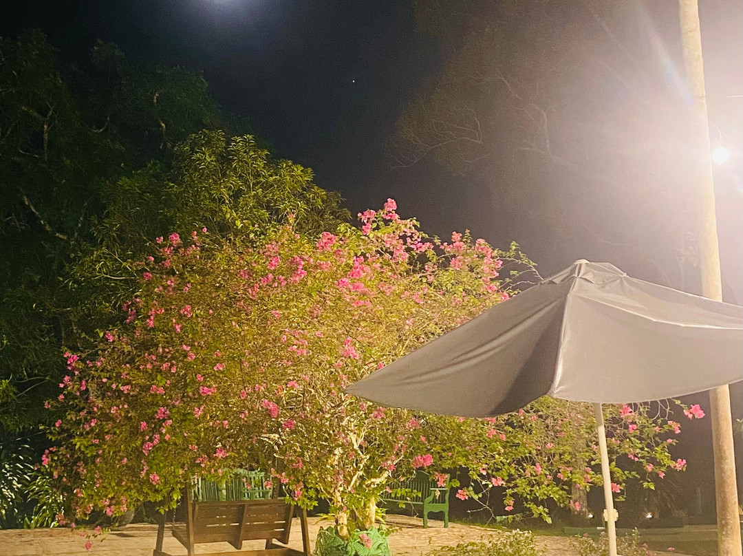 Amazonia Jungle Hotel主图