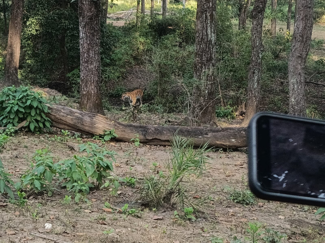 Mogli Resorts Kanha主图